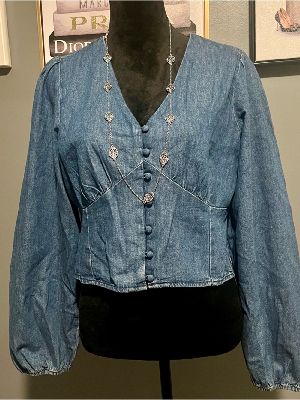 Levis’s Sophia button top denim V-Neck blouse